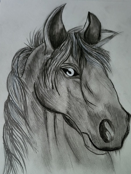 NidhiArts,Drawing,Painting,Art and Craft Class,kid,student,Art,Craft,Painting,Drawing,Tutor,Tution,Teacher,Class,Bhatar,Althan,Surat,Gujarat,India